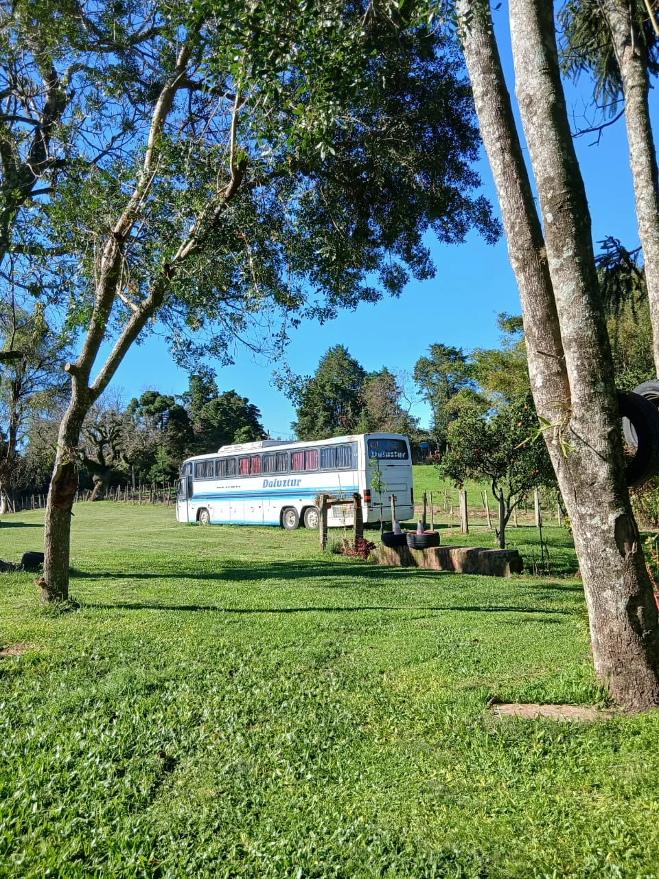Ônibus da Daluztur entre as árvores