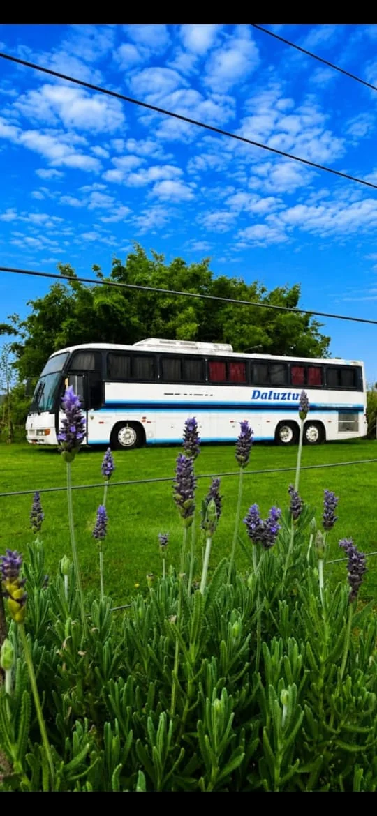 Ônibus da Daluztur no jardim