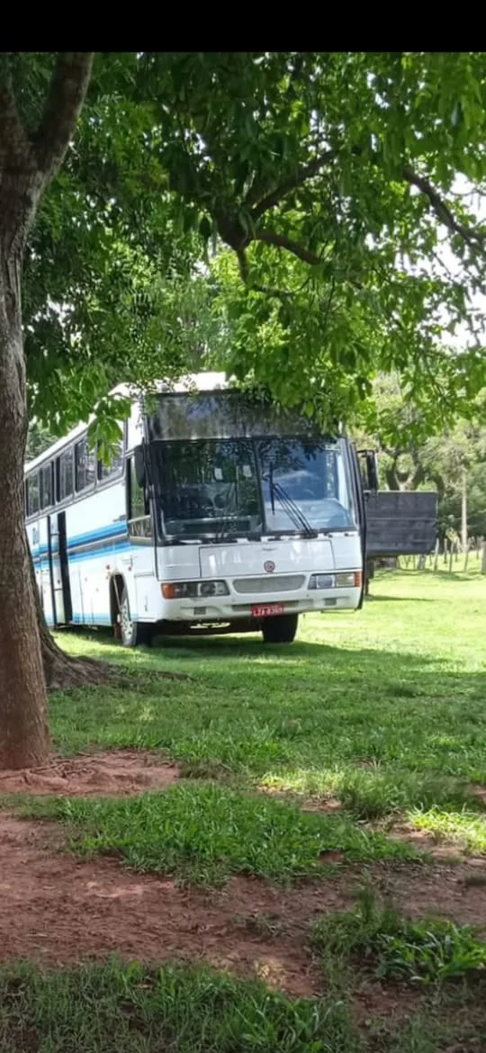 Ônibus da Daluztur sob as árvores